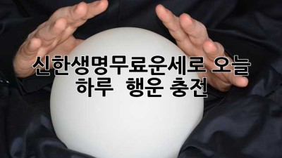신한생명무료운세로 오늘 하루 🍀 행운 충전!