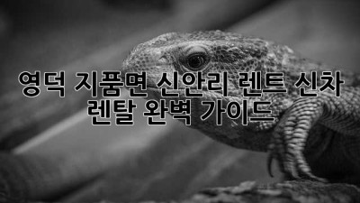 영덕 지품면 신안리 렌트🚗 신차 렌탈 완벽 가이드! ✨